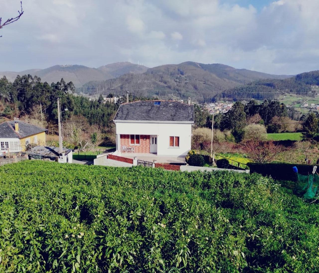 Casa Familiar Con Finca Privada Viveiro Dış mekan fotoğraf